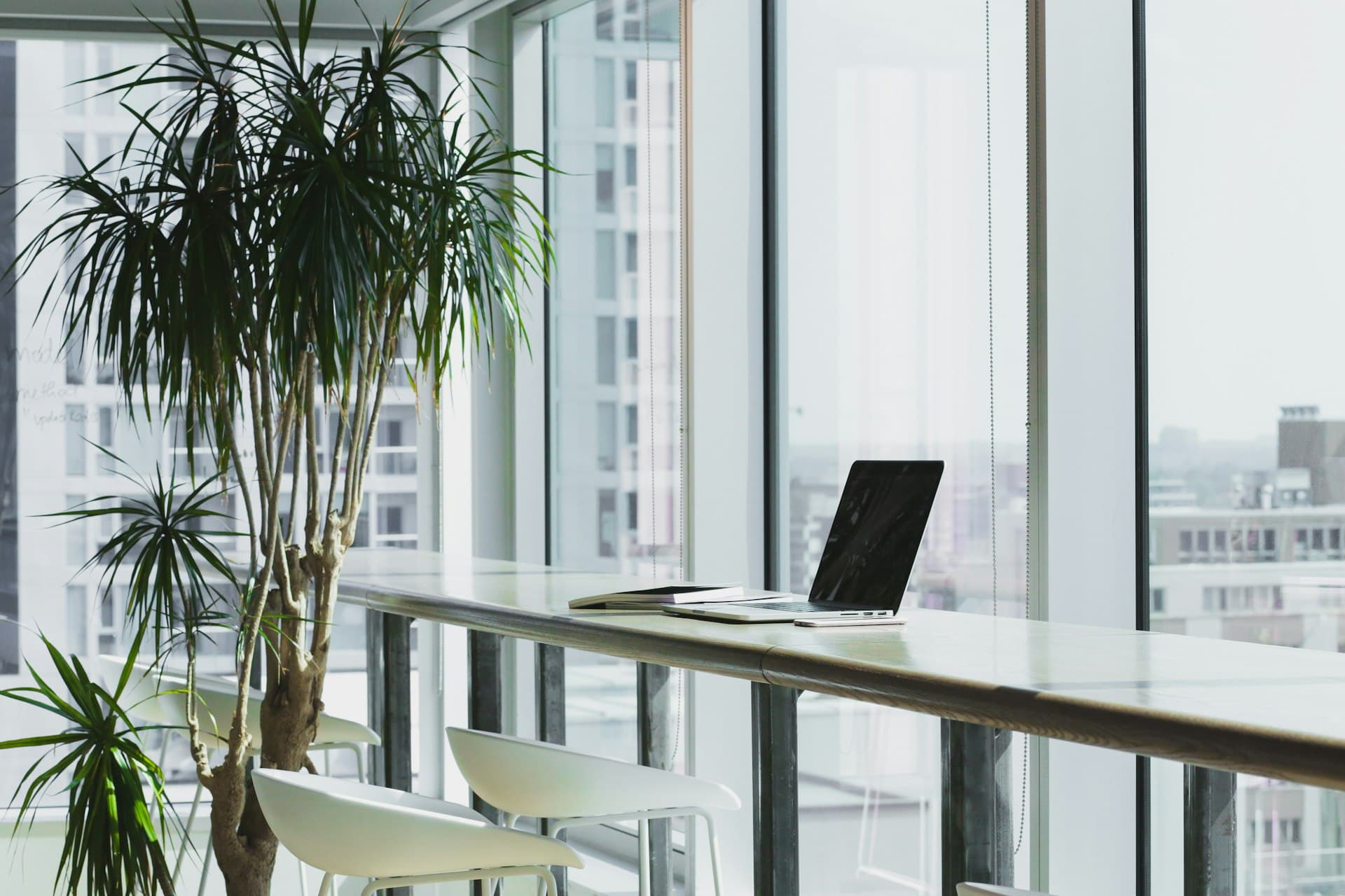 Bright office workspace with plants and natural light